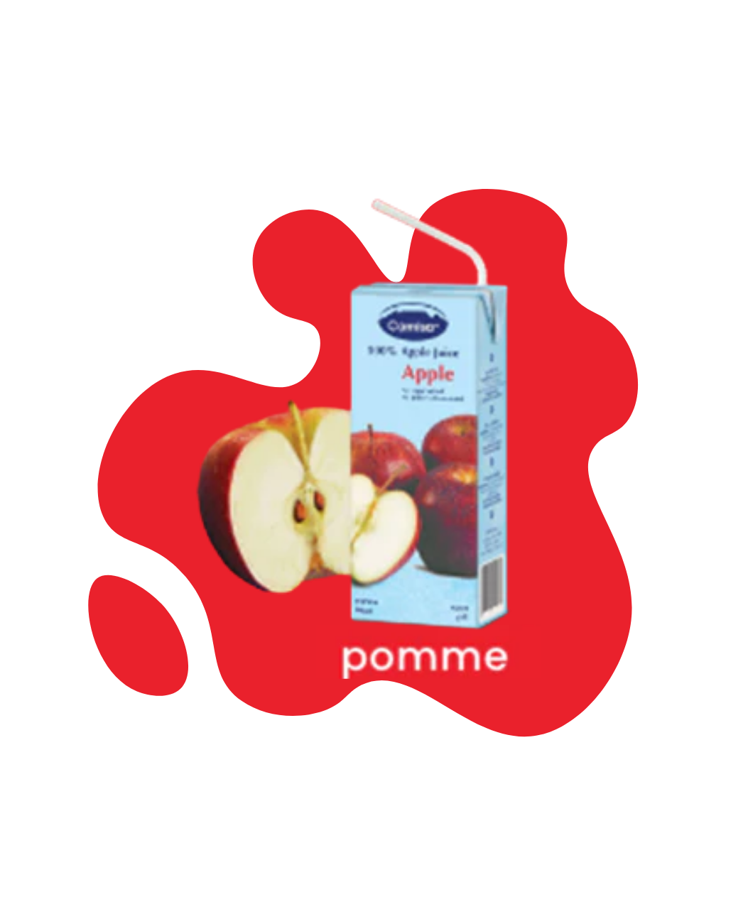 Pack 6 Jus de Pomme 200ml CAMISA - Sans Sucre Ajouté