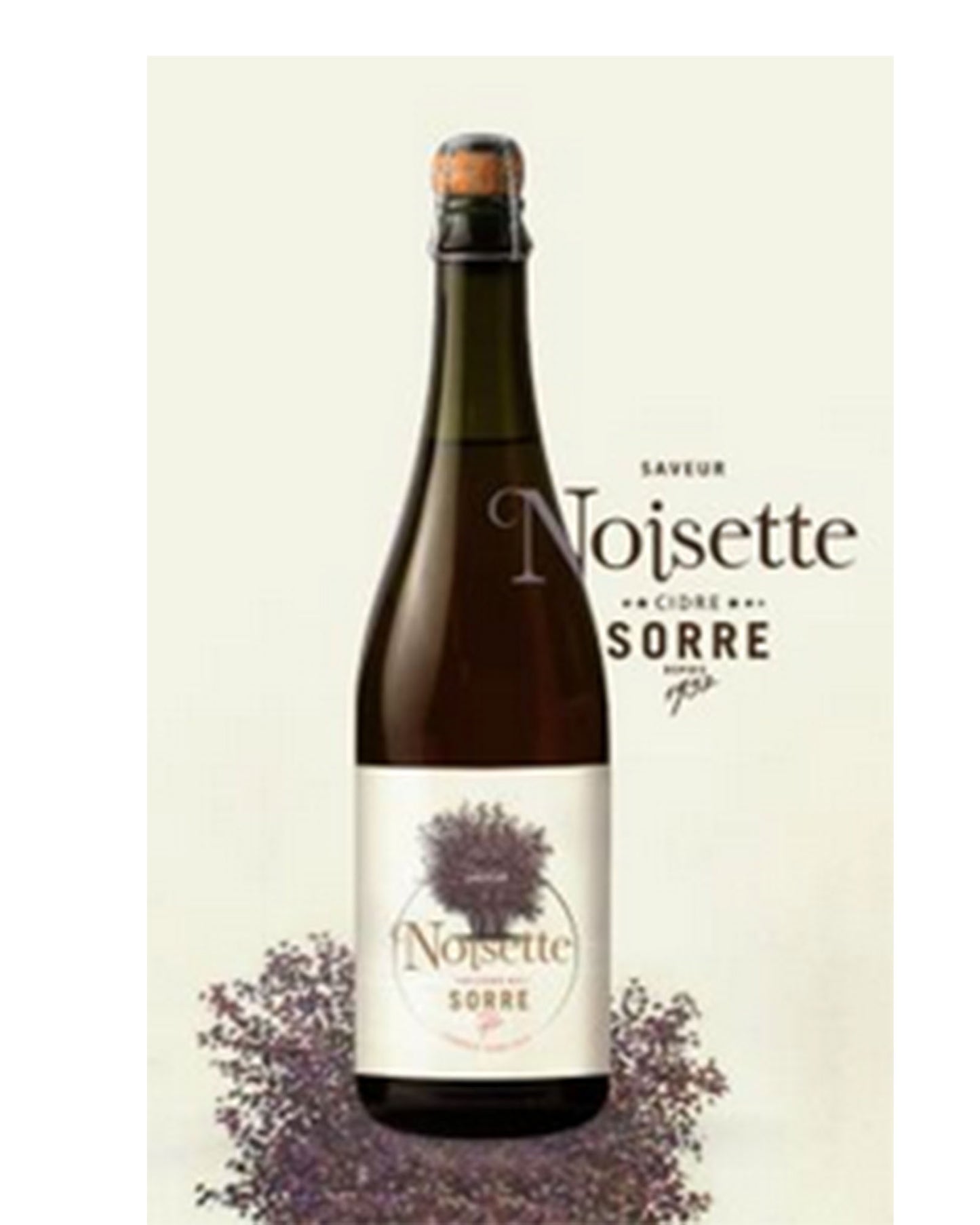 Cidre saveur noisette brut 75cl maison SORRE