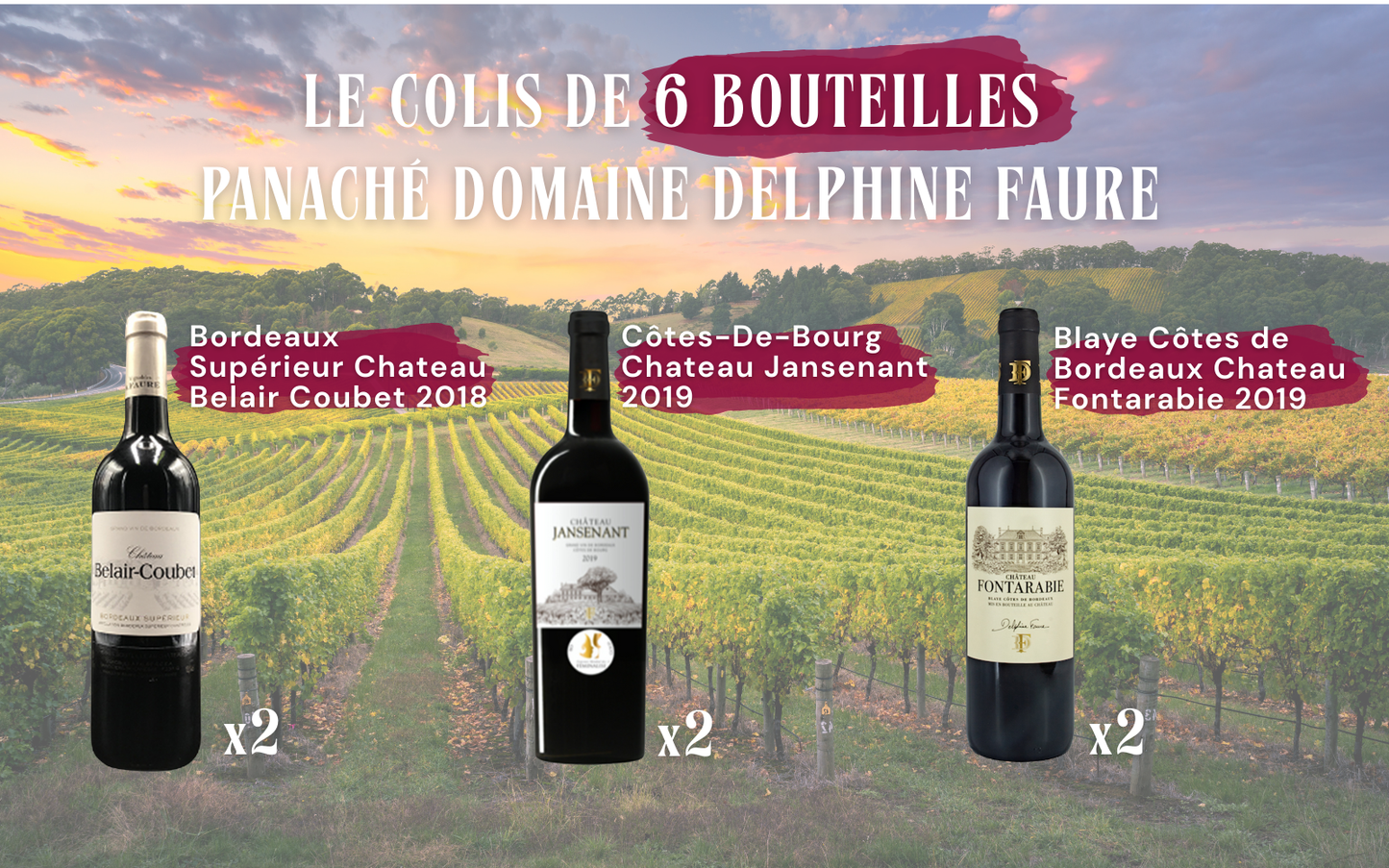 Colis panaché 6 bouteilles du Domaine Delphine Faure