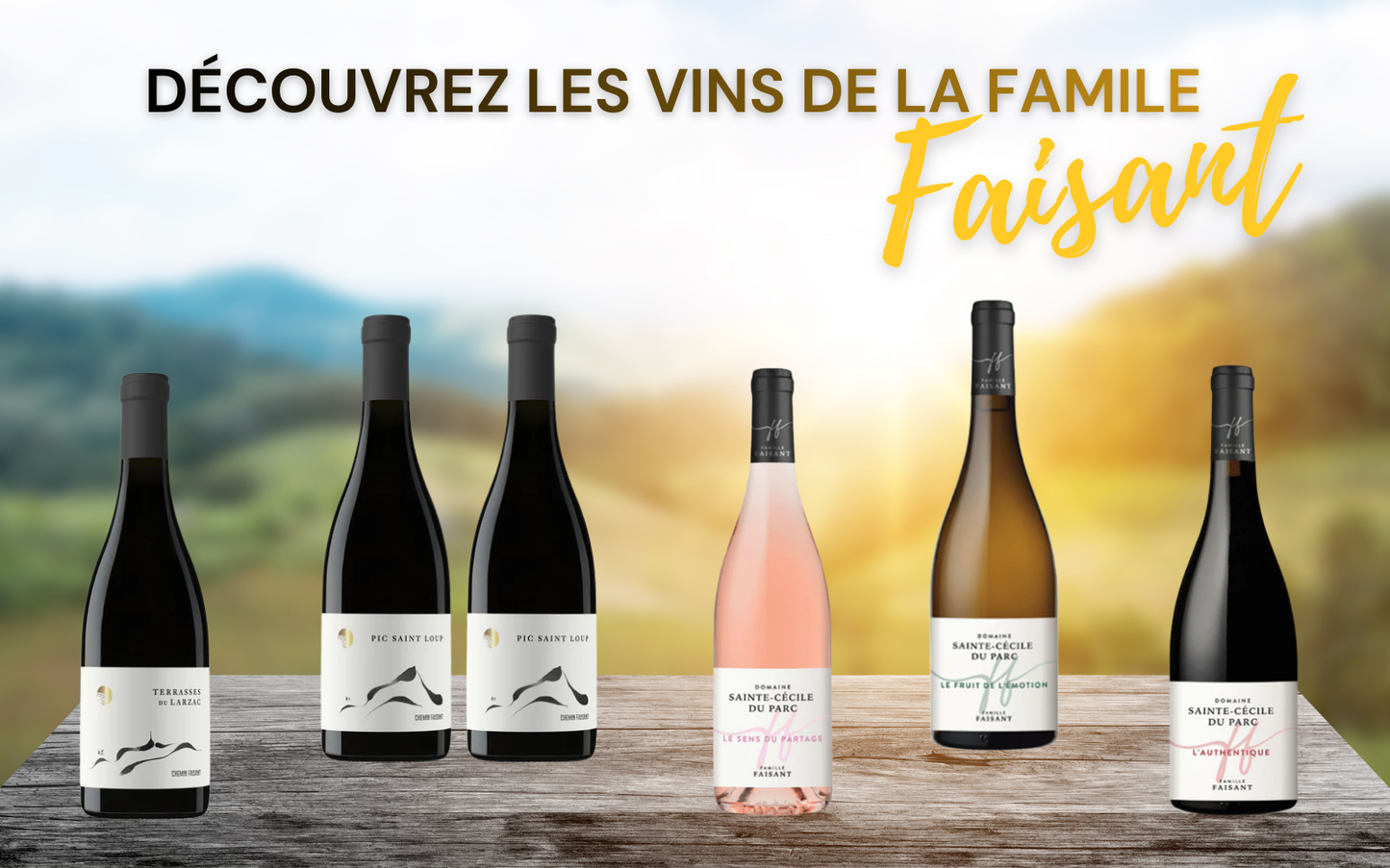 Le colis des vins de la famille Faisant !