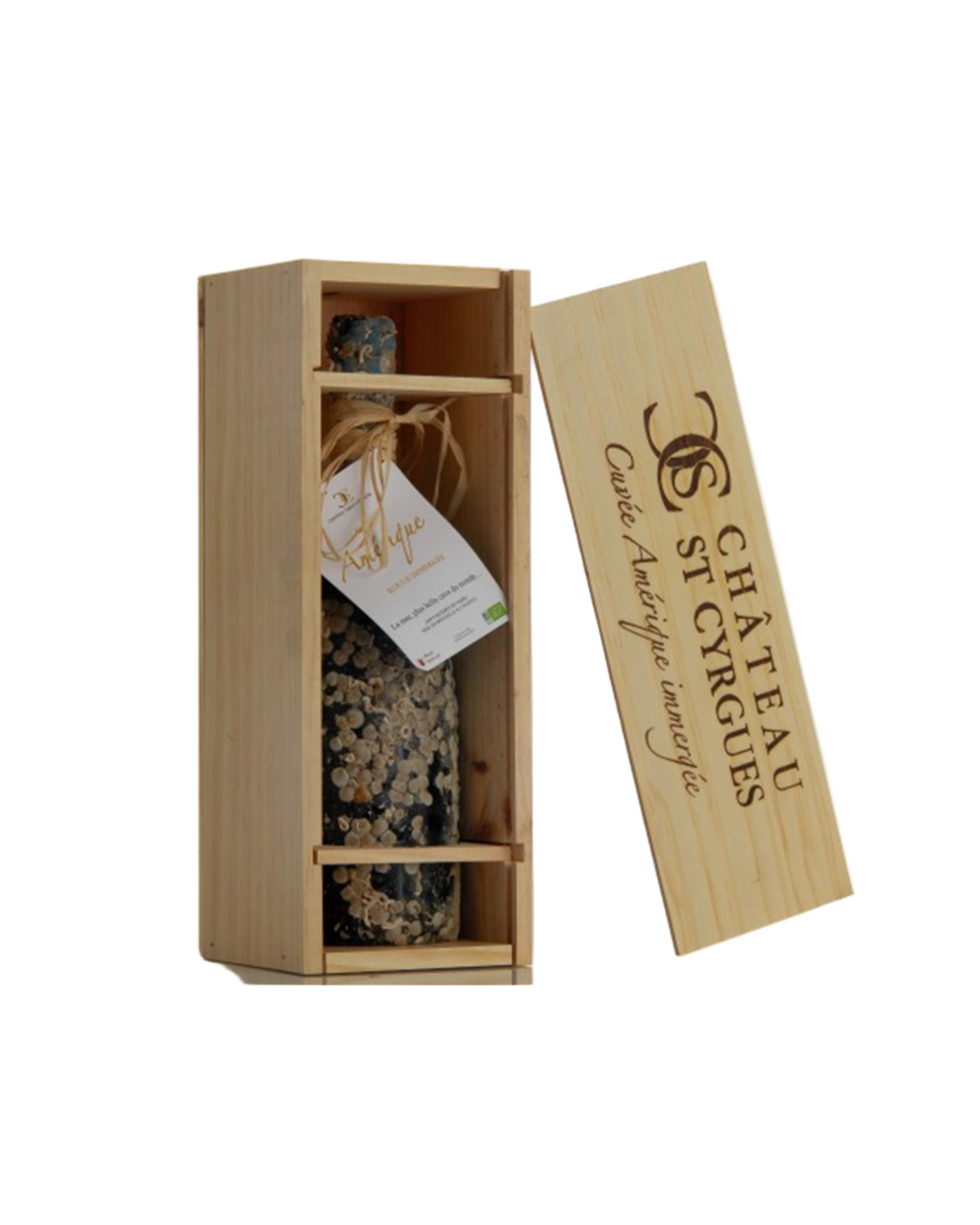 Costières-De-Nîmes Cuvée Amérique rouge Bio 2019 immergée