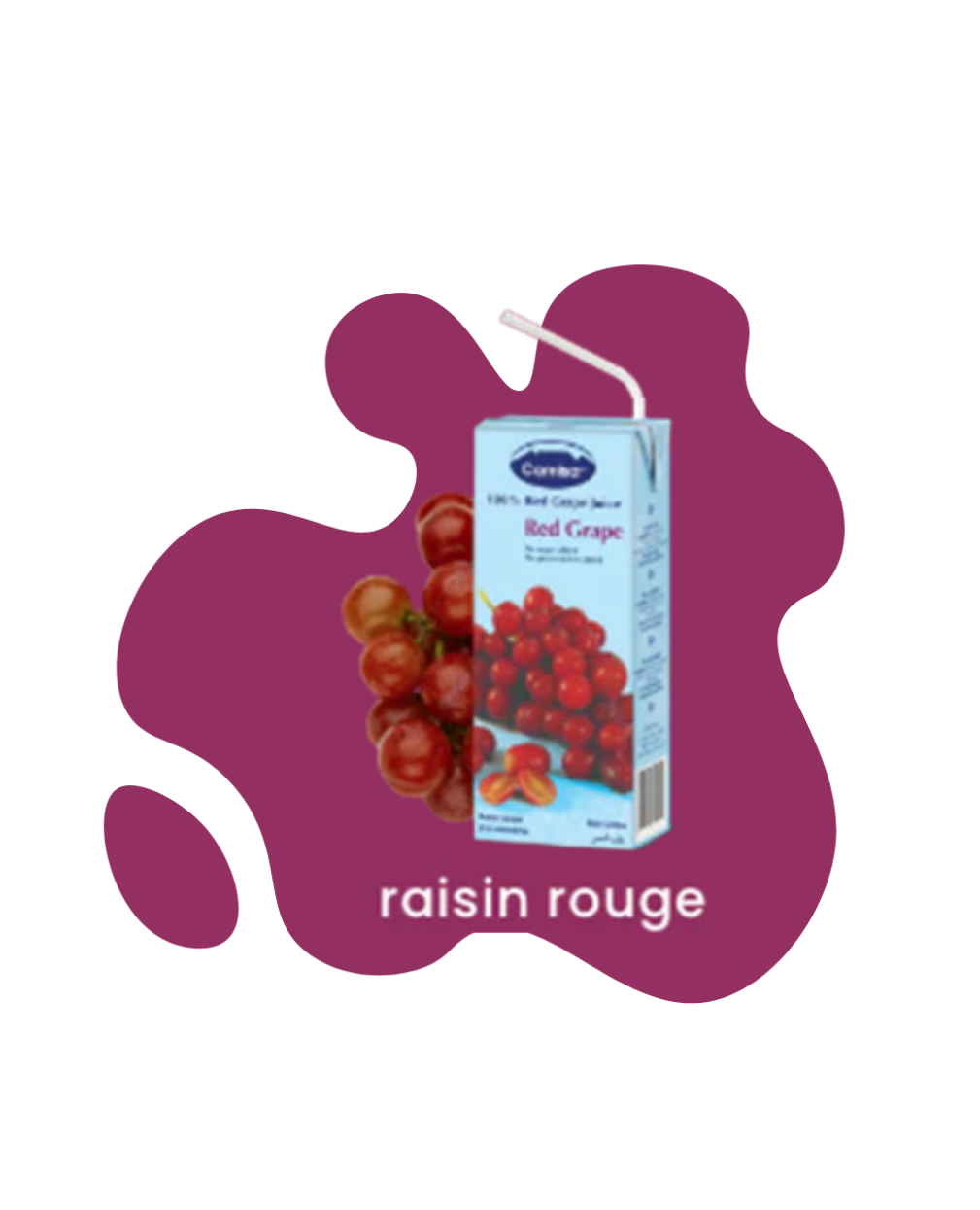 Pack 6 Jus de Raisin Rouge 200ml CAMISA - Sans Sucre Ajouté