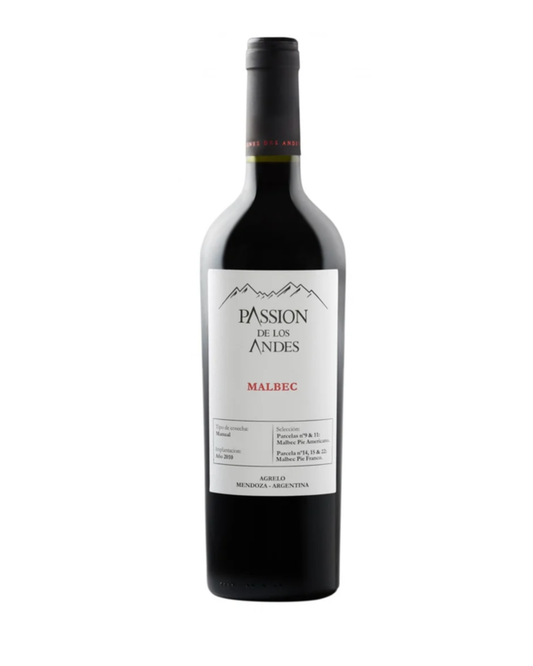 Paseo de los Andes Malbec 2021 – Mendoza, Argentine 75cl