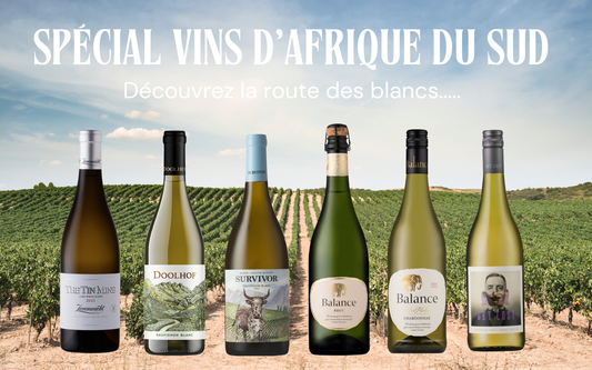 Carton 6 bouteilles Découverte des vins Blancs Sud Africains