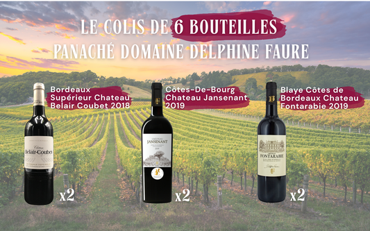 Colis panaché 6 bouteilles du Domaine Delphine Faure
