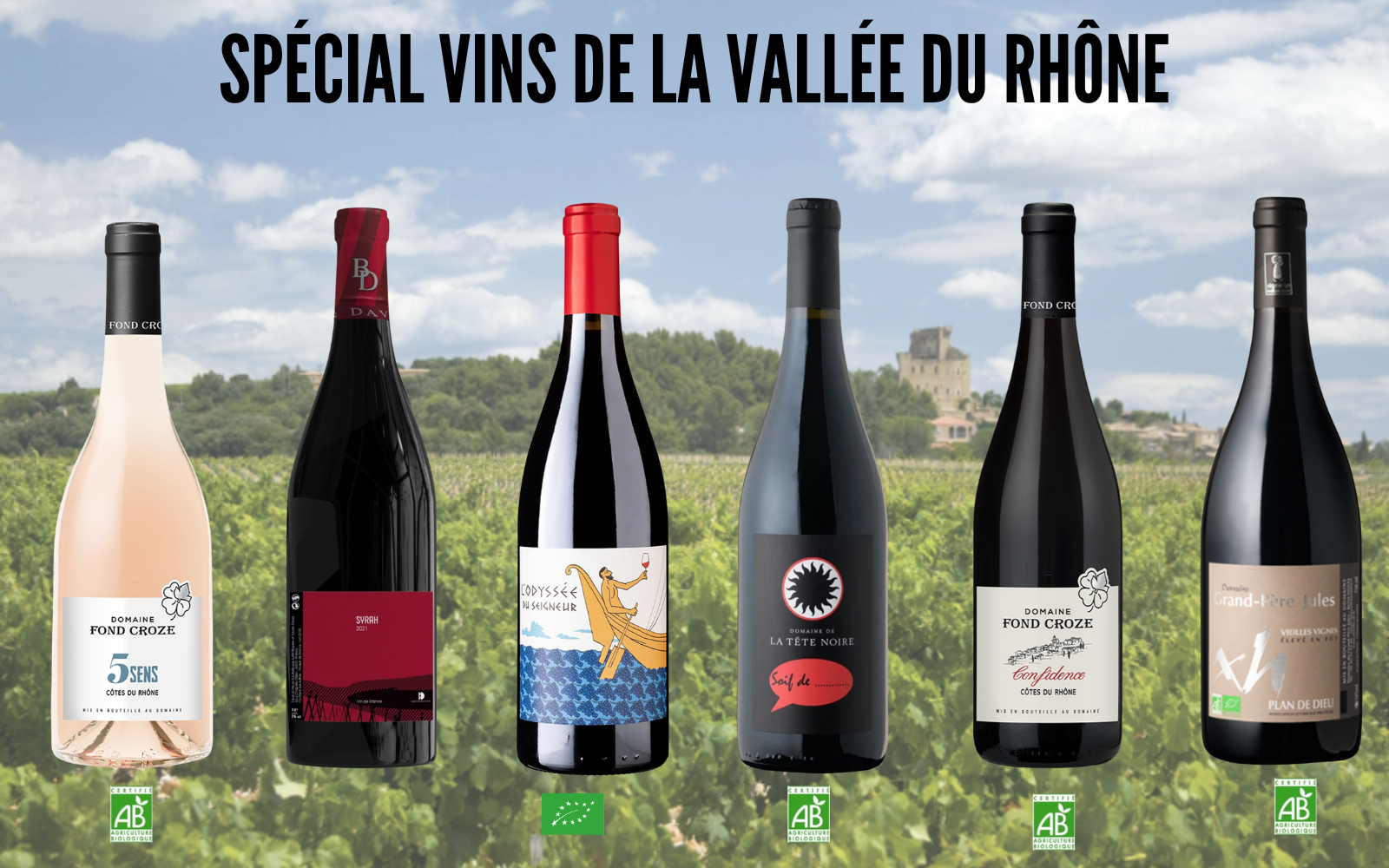 Carton 6 bouteilles Découverte des vins de la Vallée du Rhône