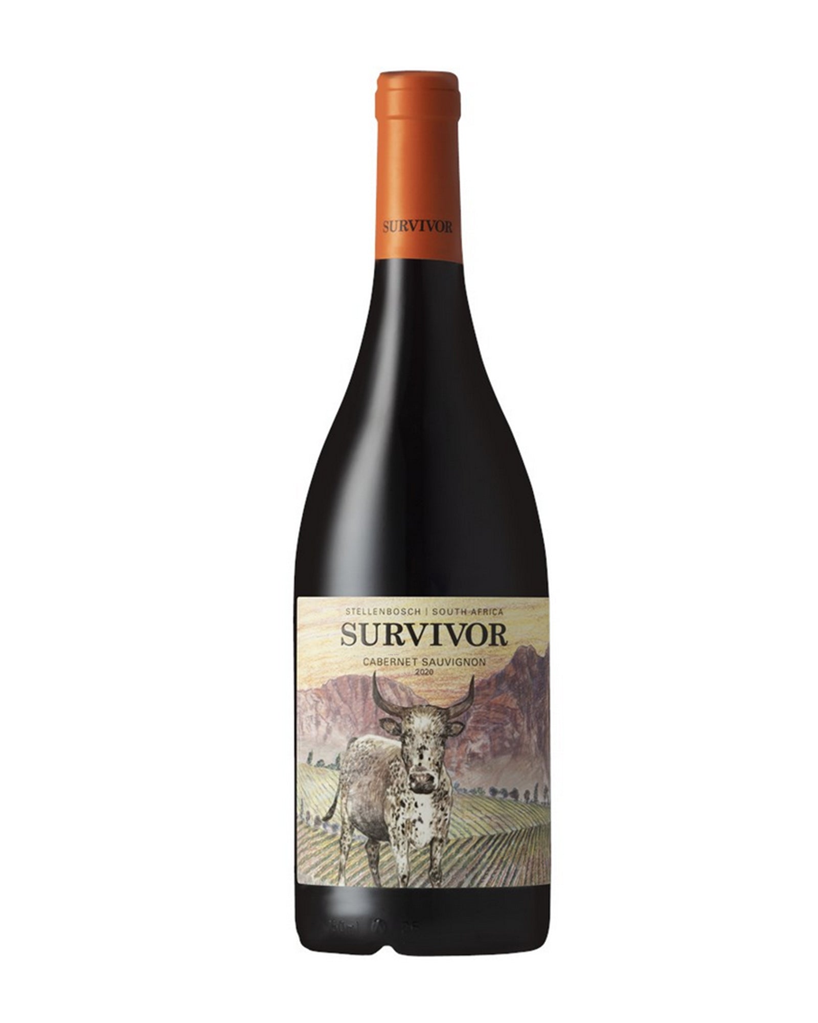 Survivor CABERNET SAUVIGNON rouge Stellenbosch 2021