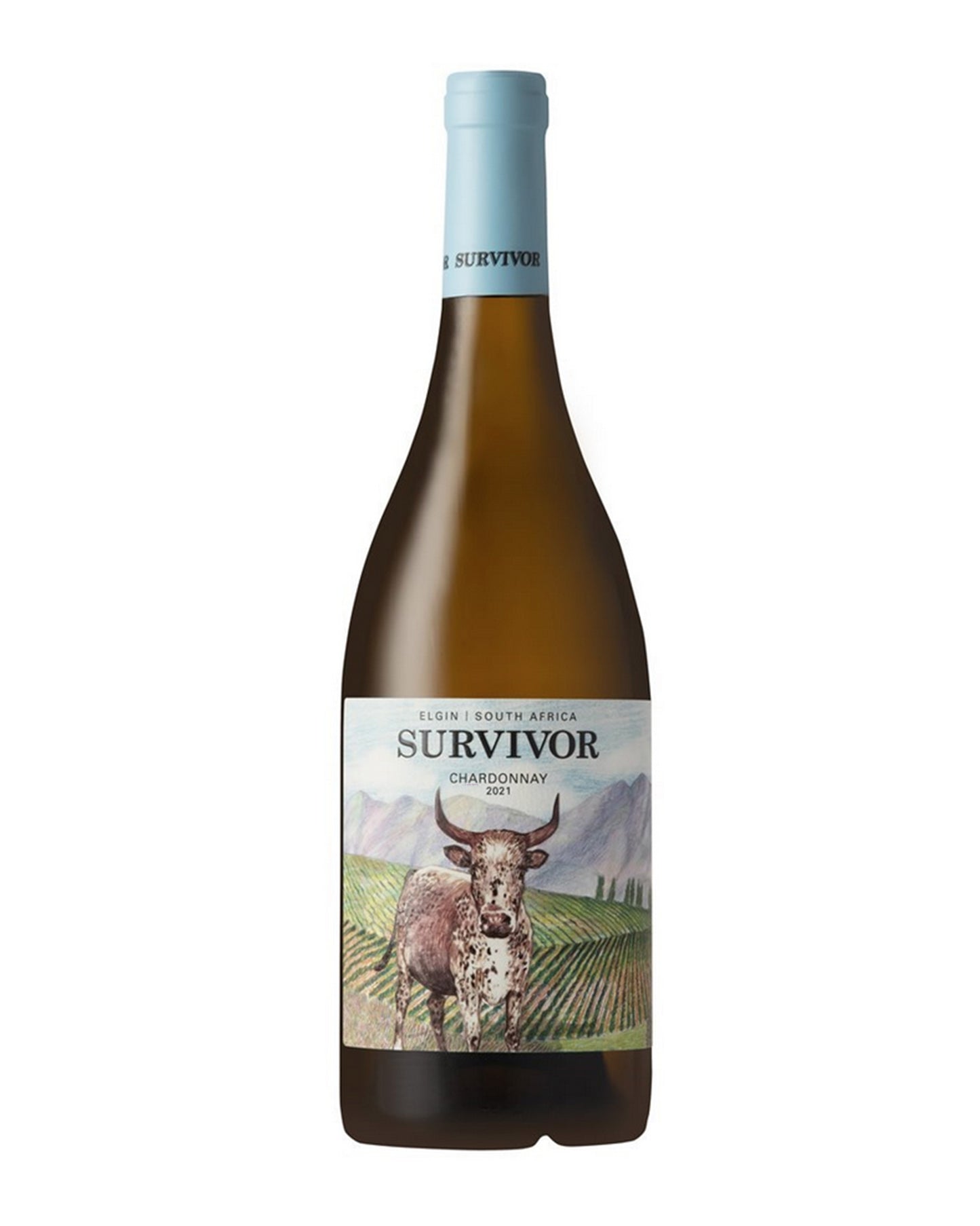 Survivor CHARDONNAY blanc sec ELGIN 2023